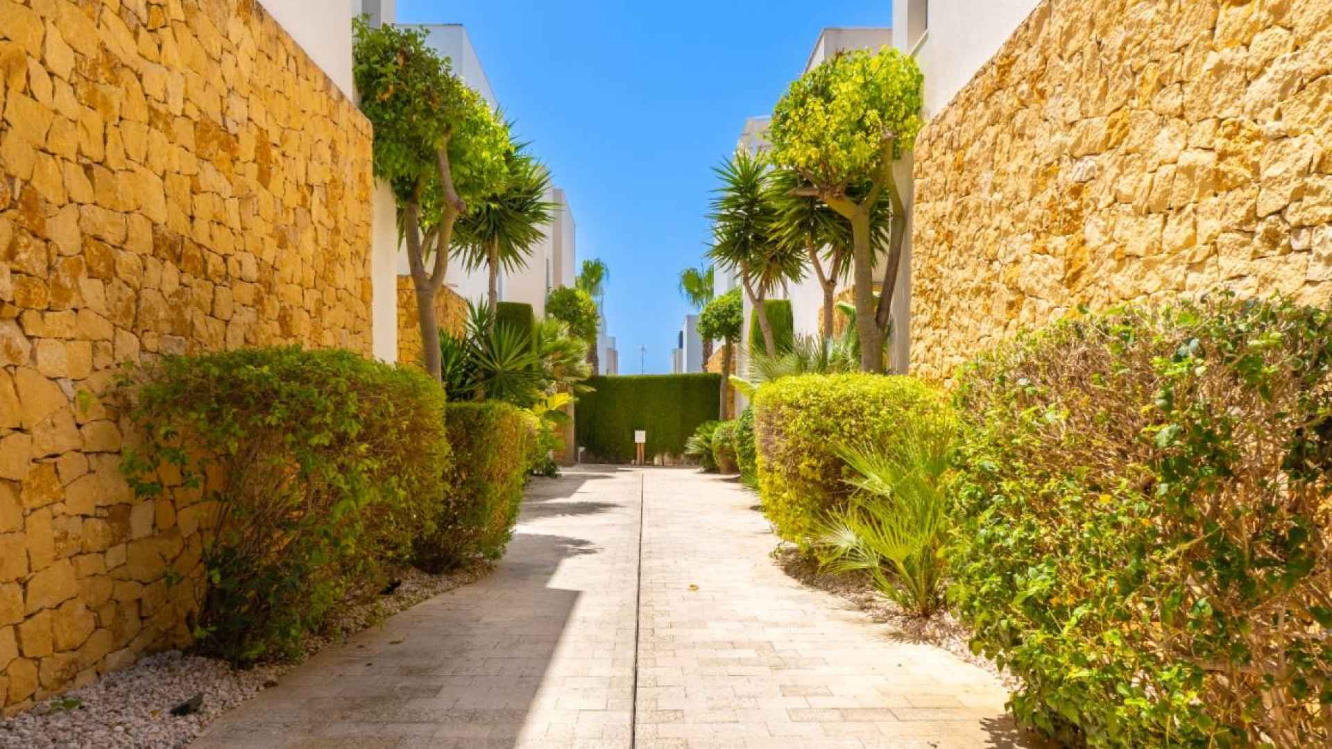 resale-villa-ciudad-quesada_11917_xl