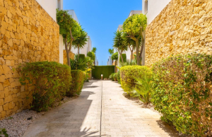 resale-villa-ciudad-quesada_11917_xl