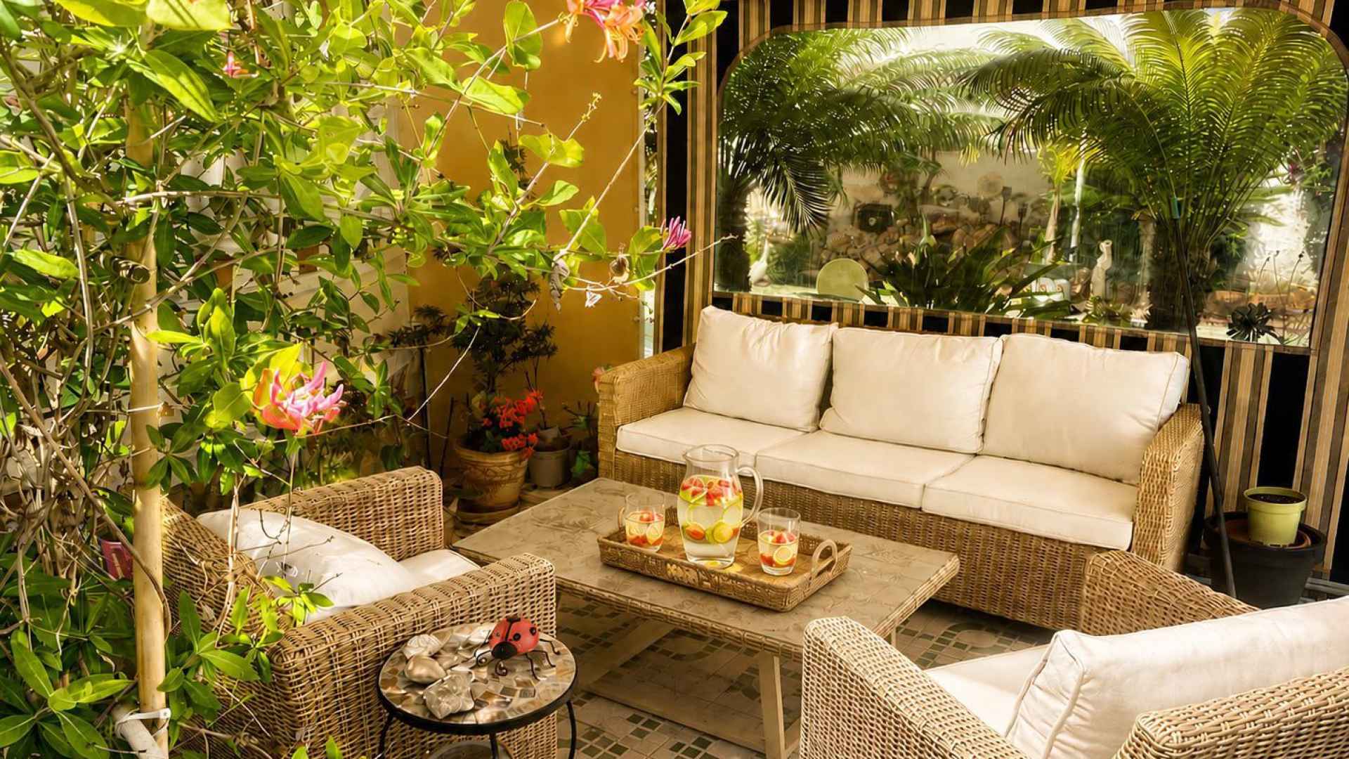 WhatsApp-Image-2026-05-20-at-14.34.25