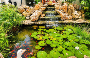 WhatsApp-Image-2026-05-20-at-14.30.26