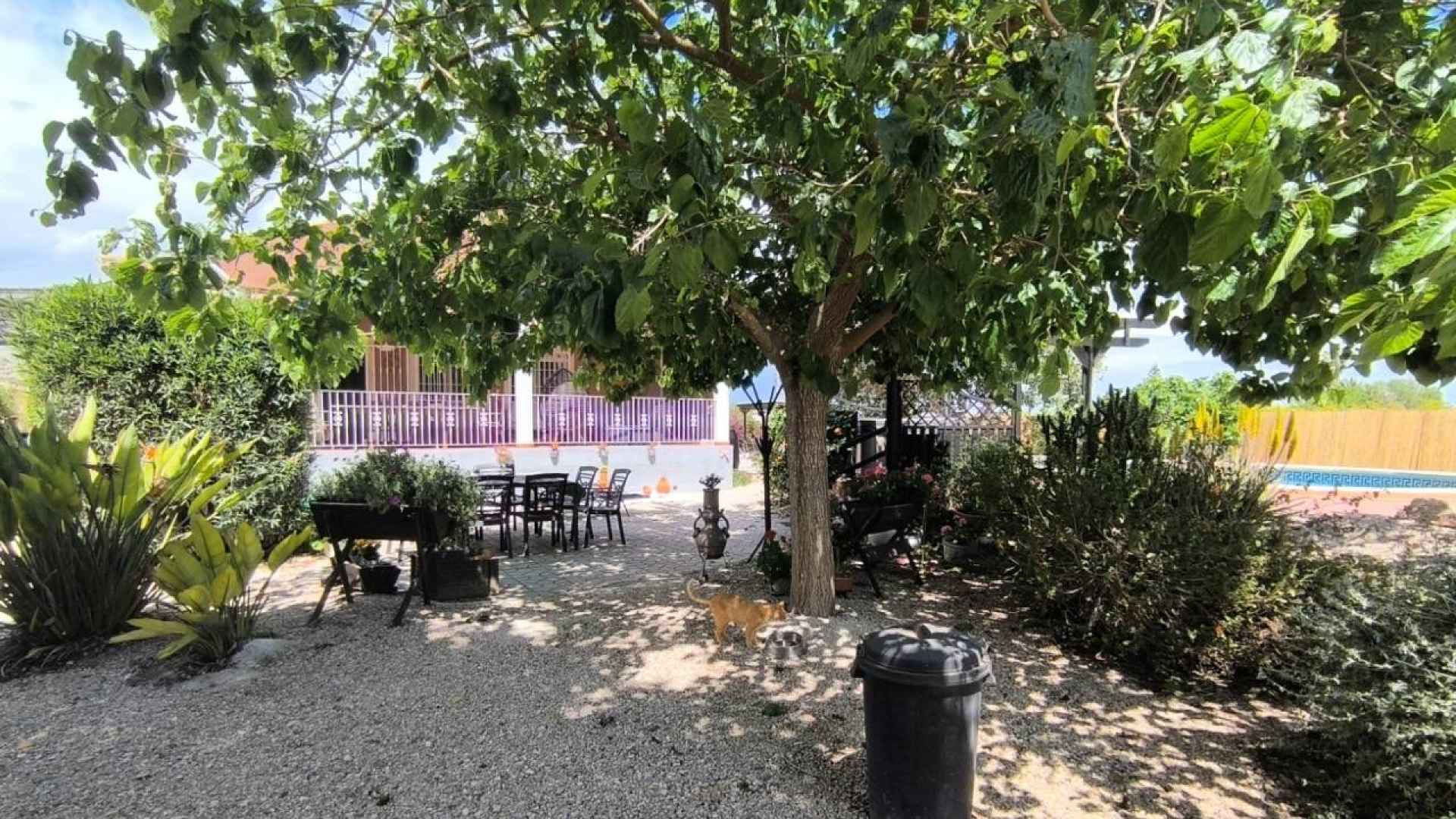 re-sale-finca-orihuela_40940_xl