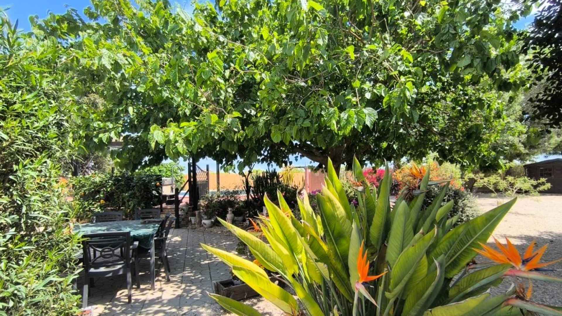 re-sale-finca-orihuela_40942_xl