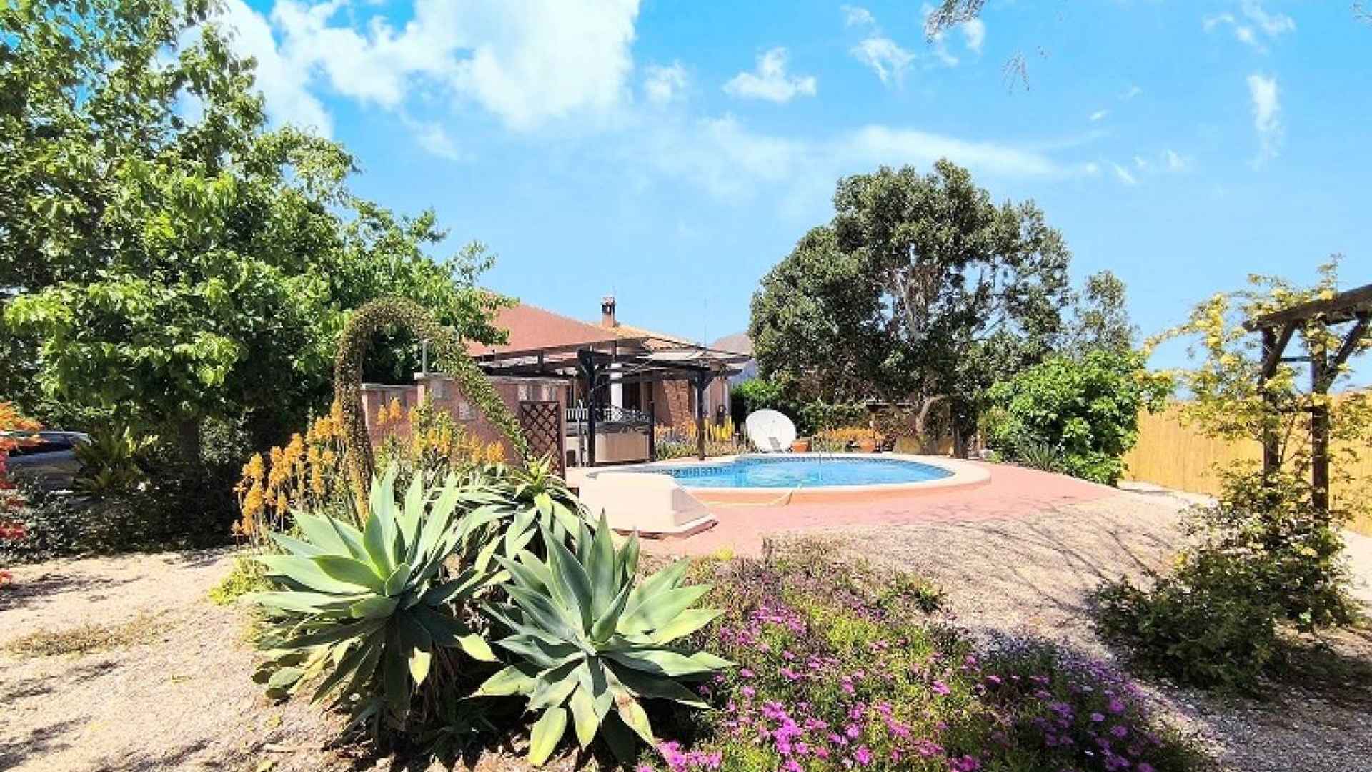 re-sale-finca-orihuela_40967_xl