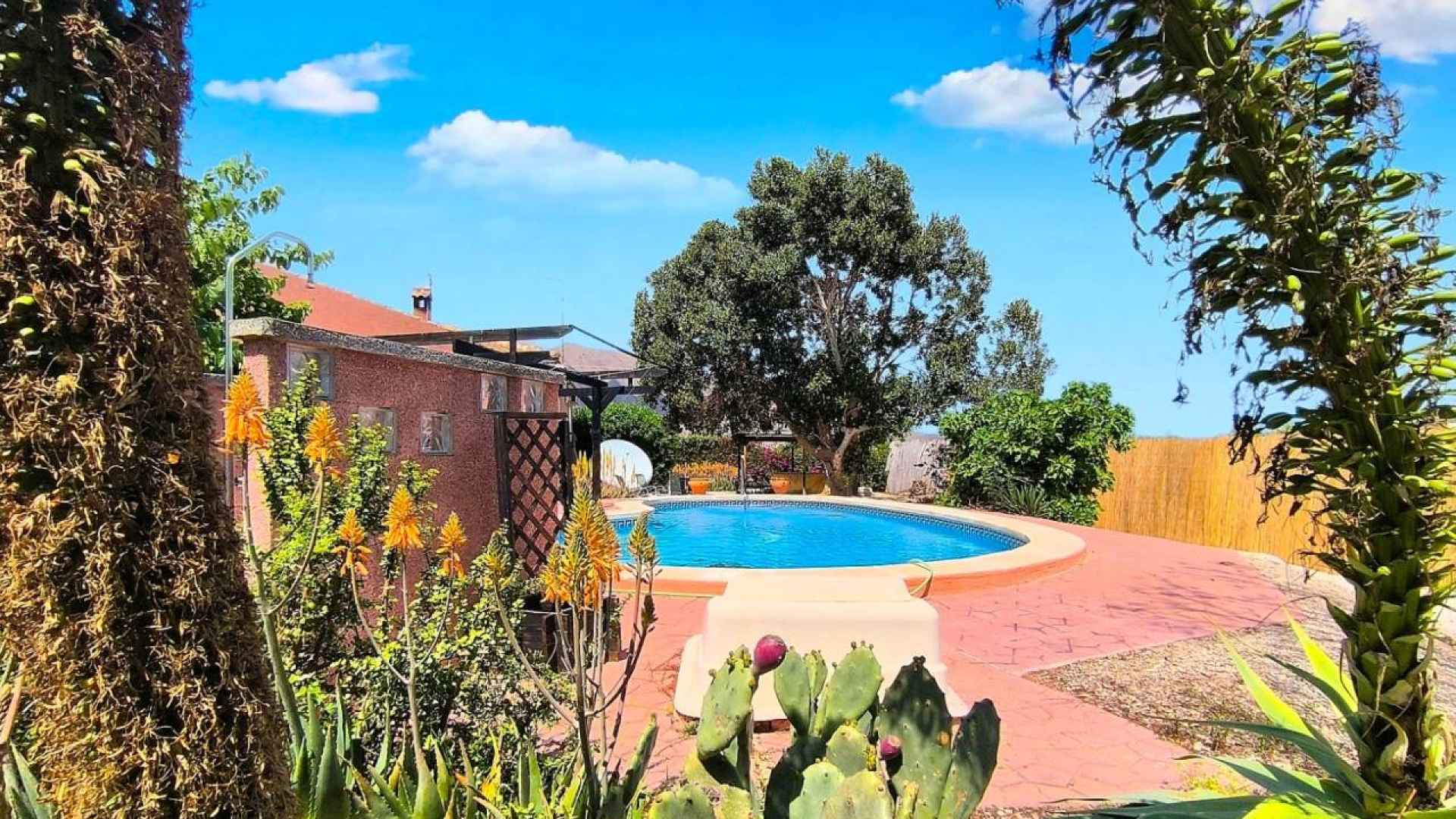 re-sale-finca-orihuela_40969_xl