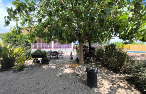 re-sale-finca-orihuela_40940_xl