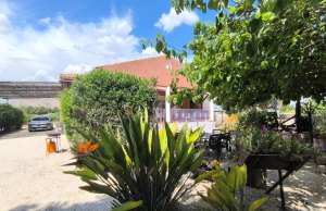 re-sale-finca-orihuela_40941_xl