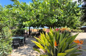 re-sale-finca-orihuela_40942_xl