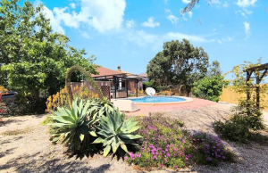 re-sale-finca-orihuela_40967_xl