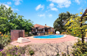re-sale-finca-orihuela_40968_xl