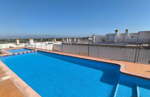 re-sale-apartment-almoradi_41889_xl
