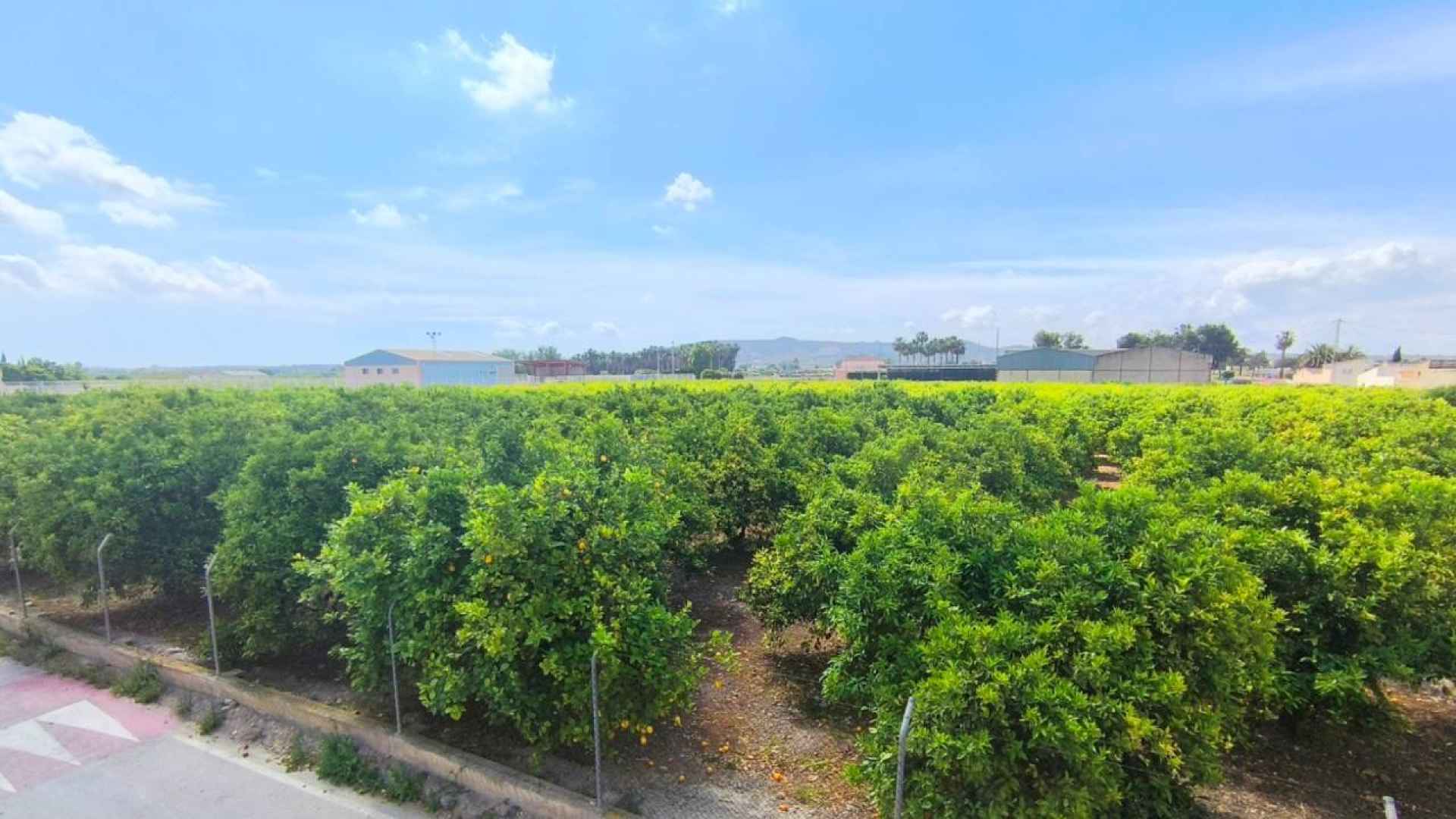 re-sale-apartment-benejuzar_63455_xl