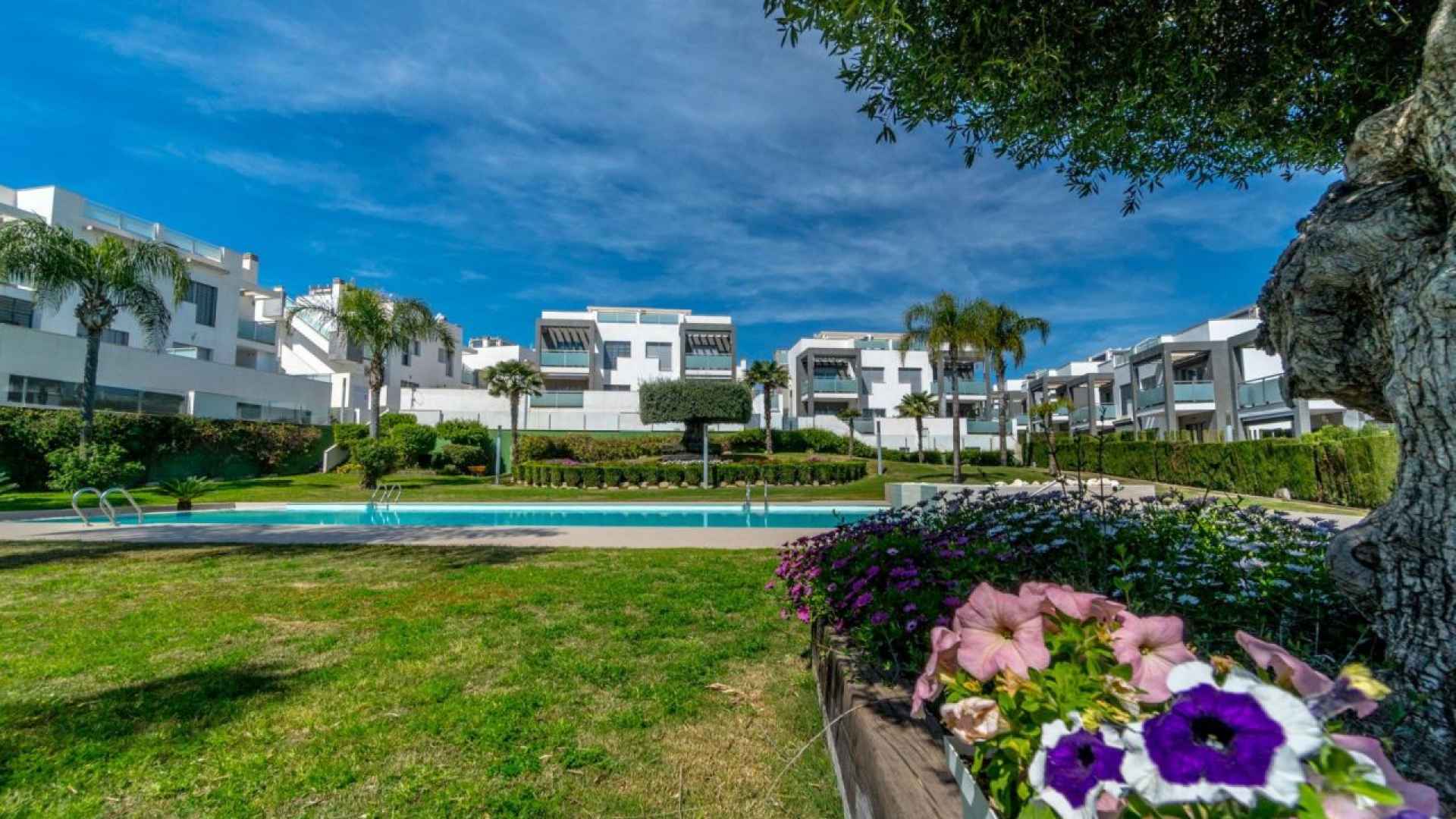 resale-upper-floor-torrevieja-la-cinuela_157239_xl