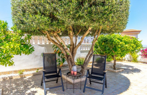 resale-detached-villa-san-miguel-de-salinas-san-miguel-salinas_157889_xl