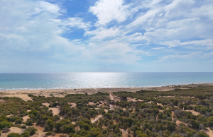 48944_charming_ground_floor_coastal_apartment_walking_distance_to_the_beach_070525124752_dji_20250507103208_0001_d