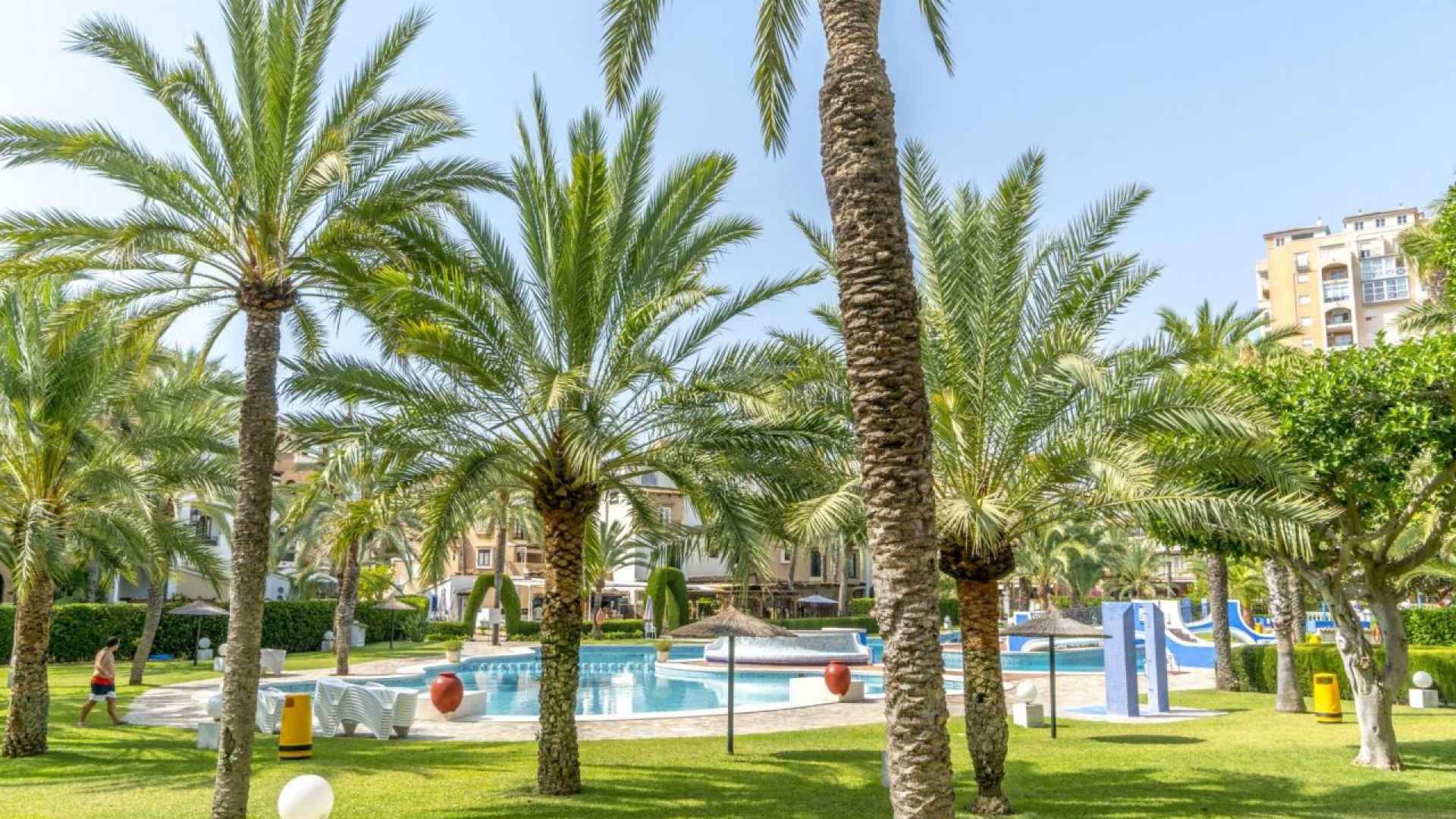 resale-apartment-torrevieja-playa-de-los-locos_158308_xl