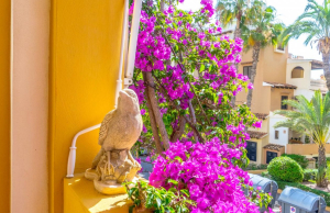 resale-apartment-torrevieja-playa-de-los-locos_158301_xl