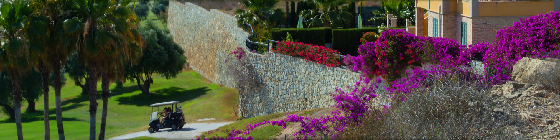 Slide background